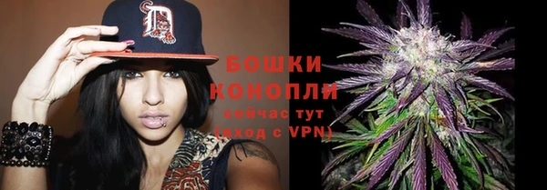 мяу мяу мука Няндома