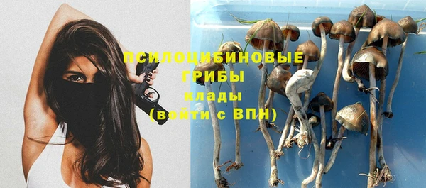 дживик Балахна