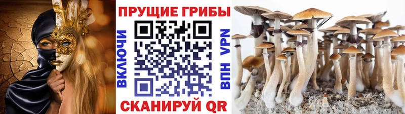 Псилоцибиновые грибы мухоморы  Советский 